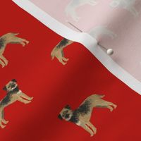 border terrier dog fabric - cute dogs on red background