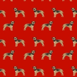 border terrier dog fabric - cute dogs on red background