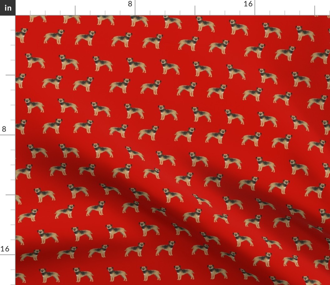 border terrier dog fabric - cute dogs on red background