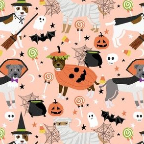 pitbull halloween costume dog fabric - cute dogs in costume halloween design candy corn, candy, funny pet fabric- orange