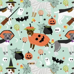 pitbull halloween costume dog fabric - cute dogs in costume halloween design candy corn, candy, funny pet fabric- mint