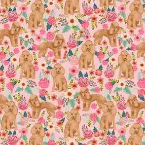 SMALLER - apricot toy poodle floral fabric