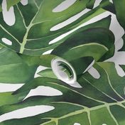 Small Watercolor Monstera Leaves