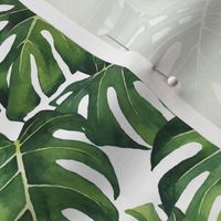 Small Watercolor Monstera Leaves