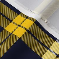 Campbell of Loch Awe tartan, yellow-navy variant, 6"