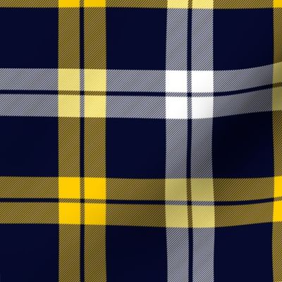 Campbell of Loch Awe tartan, yellow-navy variant, 6"