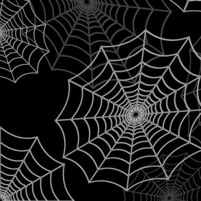 White Spider Web Cobweb Silk Pattern on Black