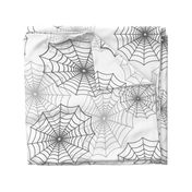 Black Spider Web Cobweb Silk Pattern on Dark White