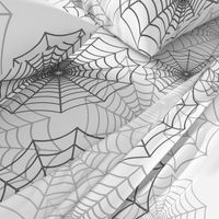 Black Spider Web Cobweb Silk Pattern on Dark White