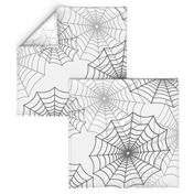 Black Spider Web Cobweb Silk Pattern on Dark White