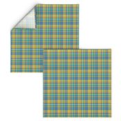 BNS5 - Tartan Plaid in Orange - Turquoise - Chartreuse