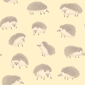 Hedgehogs