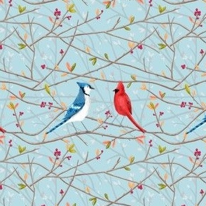 Bluejay & Cardinal