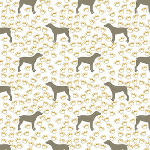 Big Grey Weimaraner Dogs with Yellow Paw Prints
