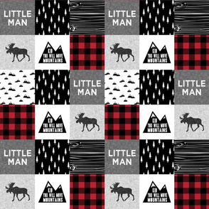 3" small scale - Little Man & You Will Move Mountains Quilt Top - buffalo plaid  - C18BS