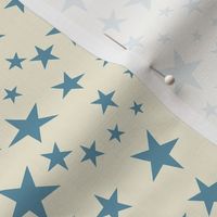 Vintage Flag - Stars Blue on White
