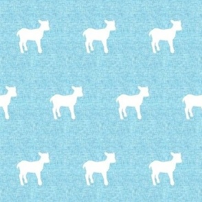 Linen lamb Blue