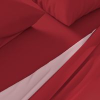 Pantone Samba red solid / #A2242F