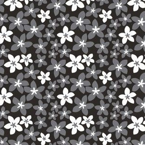 Plumeria - Black and White