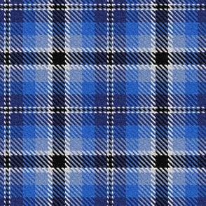 Navy Royal Sky Blues with Black and a dash of White Plaid