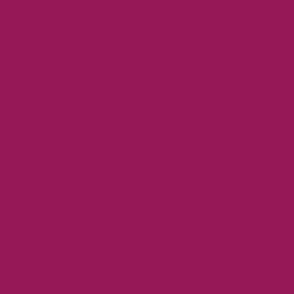 burgundy red solid / #941e56