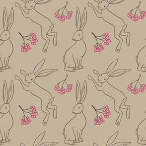 Hares and Rowan