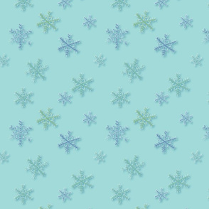 Ice Tree Forest Coordinate Snowflakes