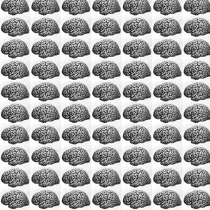 Brain Grid-small