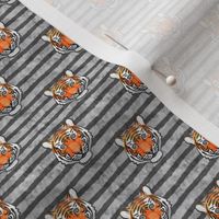 (3/4" scale) tiger - grey stripes C18BS