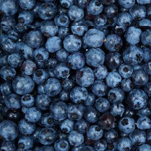 Blueberries--Tiny
