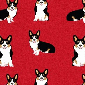 tri corgi dog fabric - pet quilt a dog, dogs, pet quilt