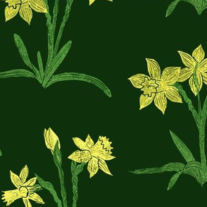 sunny yellow daffodils on dark green 