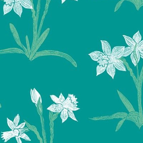 white narcissus on teal