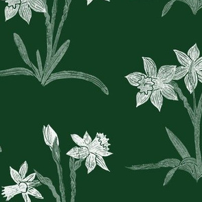 chalk white daffodils on chalkboard green