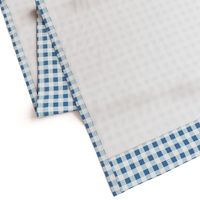 gingham in blue, light blue and white | large