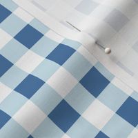 gingham in blue, light blue and white | large