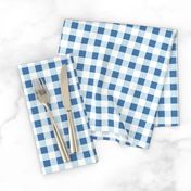 gingham in blue, light blue and white | large