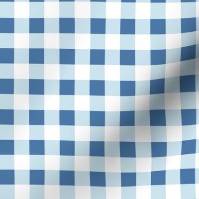 gingham in blue, light blue and white | large