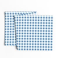 gingham in blue, light blue and white | large