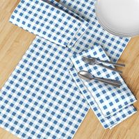 gingham in blue, light blue and white | large