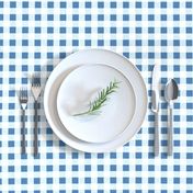 gingham in blue, light blue and white | large