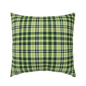  Green Gold White Plaid