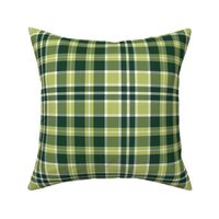  Green Gold White Plaid