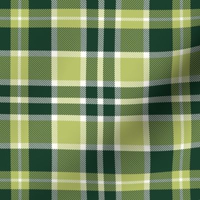  Green Gold White Plaid