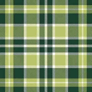  Green Gold White Plaid