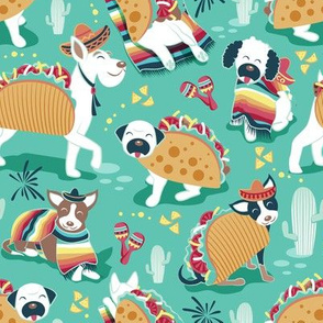 Small scale // Mexican tacos dogs team // mint