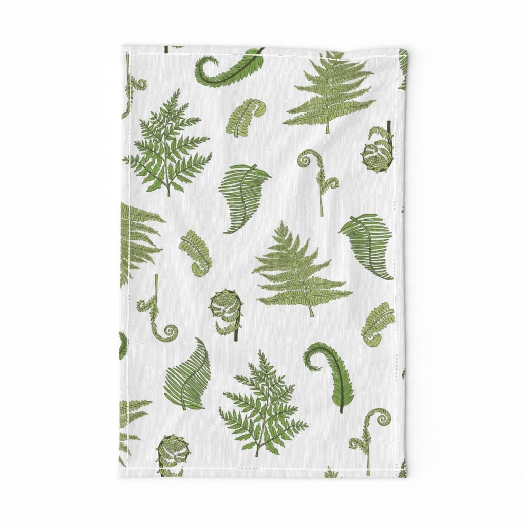 Woodland Ferns-White