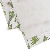 Woodland Ferns-White