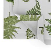 Woodland Ferns-White