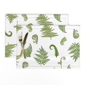 Woodland Ferns-White